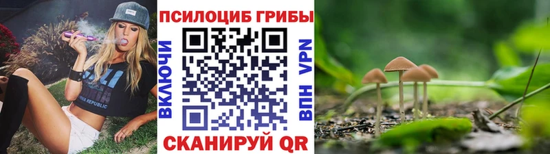 Галлюциногенные грибы мицелий  Нязепетровск 